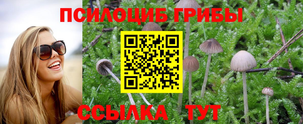 Галлюциногенные грибы Cubensis  Галлюциногенные грибы ЛСД  Ростов-на-Дону  Вход с VPN 